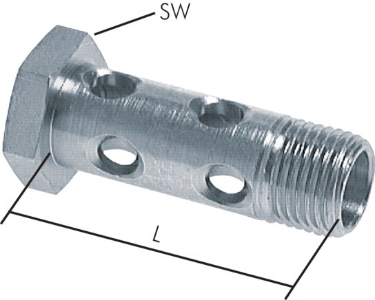 Exemplary representation: Banjo bolt (2-fold)