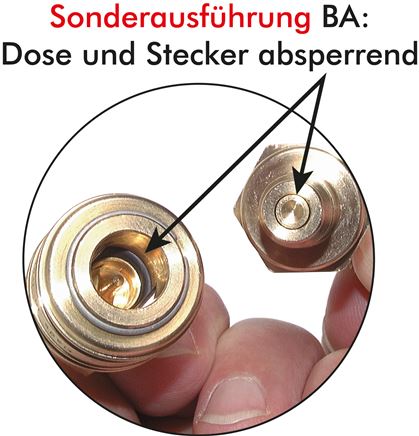 Detailansicht: Sonderausführung BA