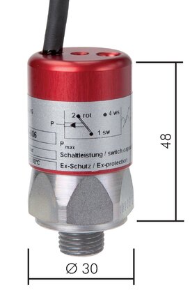 Exemplary representation: Explosion-protected pressure switches, Atex, type DRSW ... X