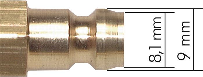 detailed view: Plug dimensions