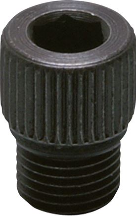 Exemplary representation: Replacement screw plug for oiler filling - Multifix & Standard, SCREW OL 1