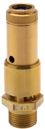 Exemplary representation: Safety valve (brass)