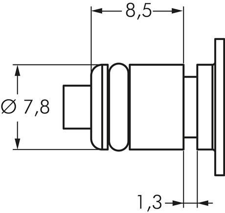 detailed view: Plug dimensions