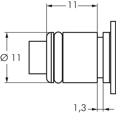 detailed view: Plug dimensions